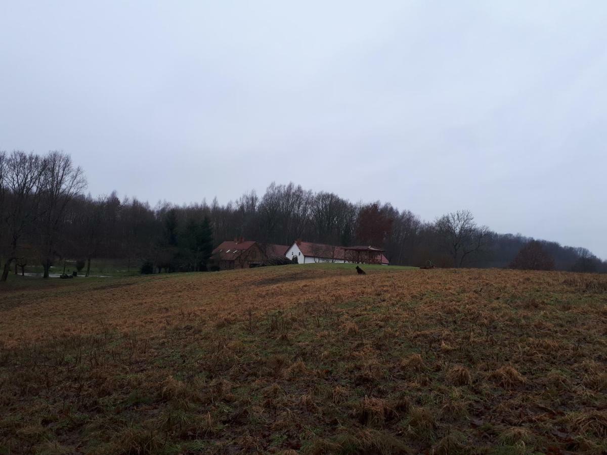 Labadkowo Labedzie Exterior foto